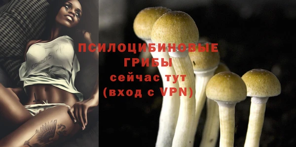 соль курить ск Михайловск