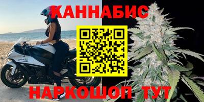 молекула духа Будённовск