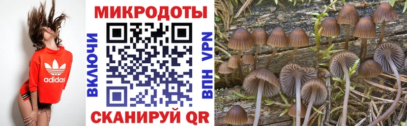 kraken сайт  Донецк  площадка формула  Галлюциногенные грибы мухоморы 
