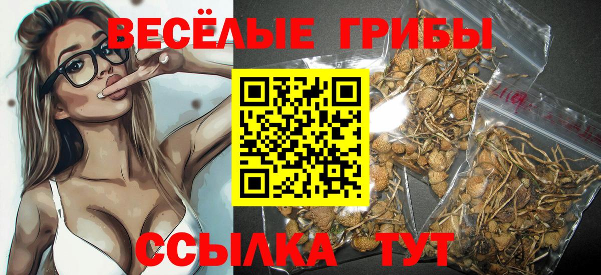 Галлюциногенные грибы ЛСД  Галлюциногенные грибы Cubensis  Донецк  Вход с VPN 