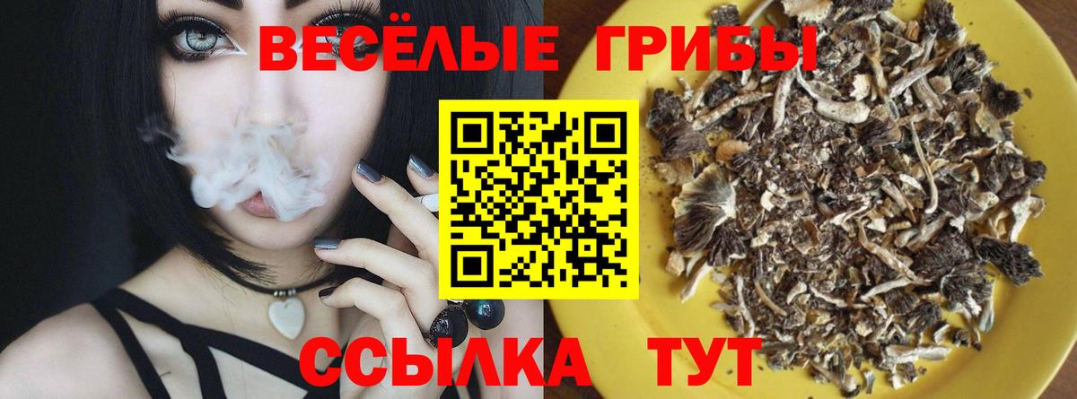 Псилоцибиновые грибы прущие грибы Донецк